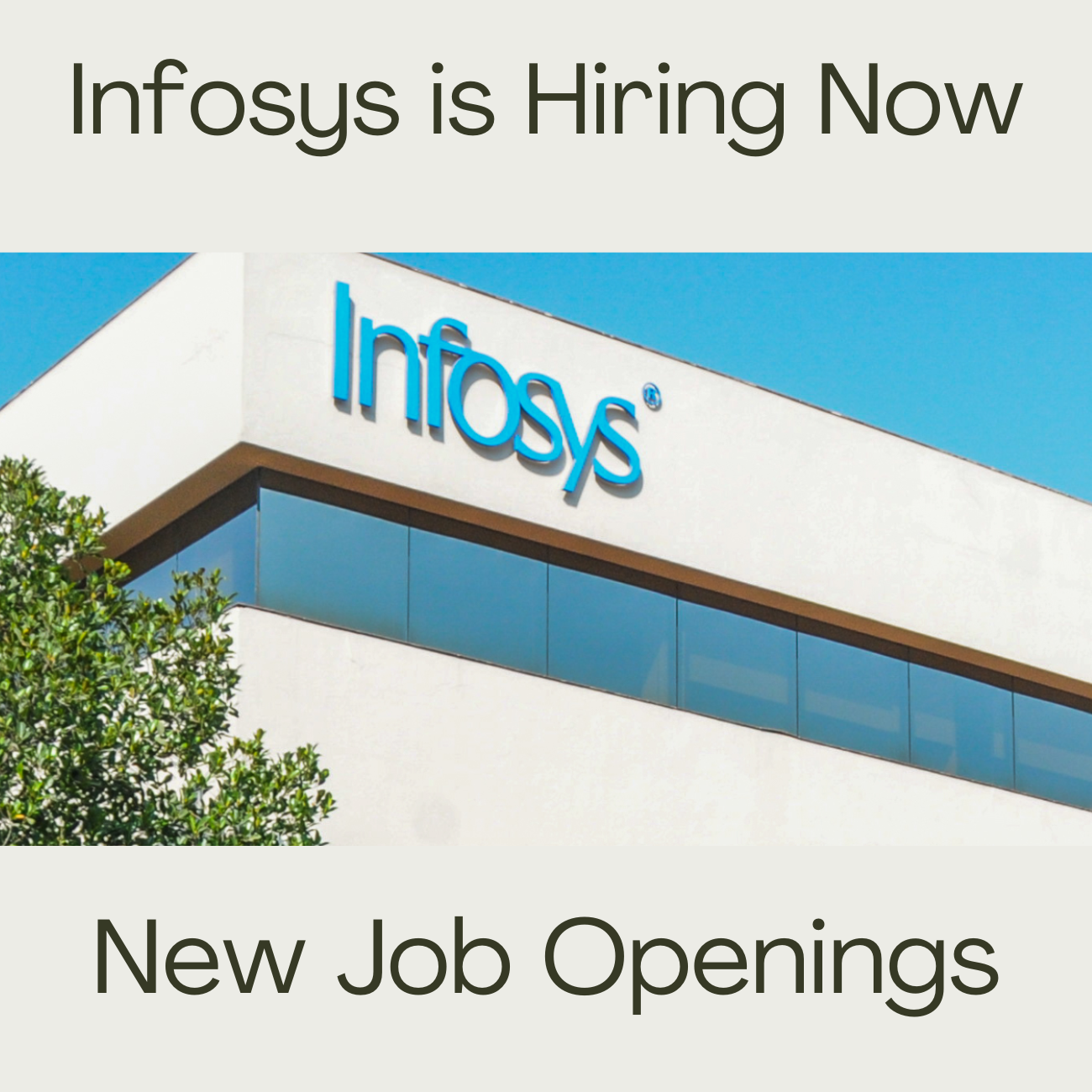 Infosys Has Announced Recruitment 2022 for Degree Graduates
