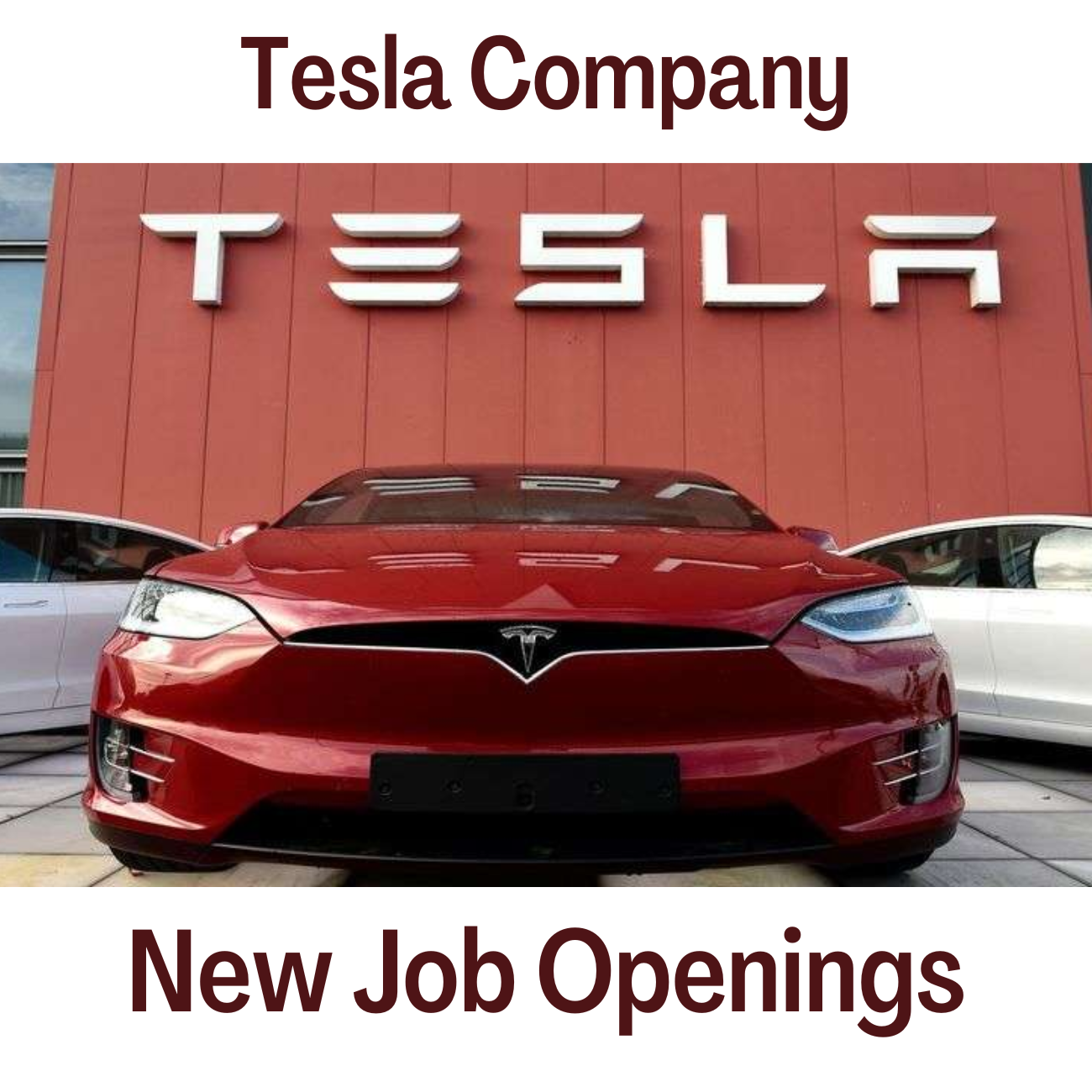 Tesla Company Have  Announced Their Recruitment For 2022 Tesla Company Have  Announced Their Recruitment For 2022