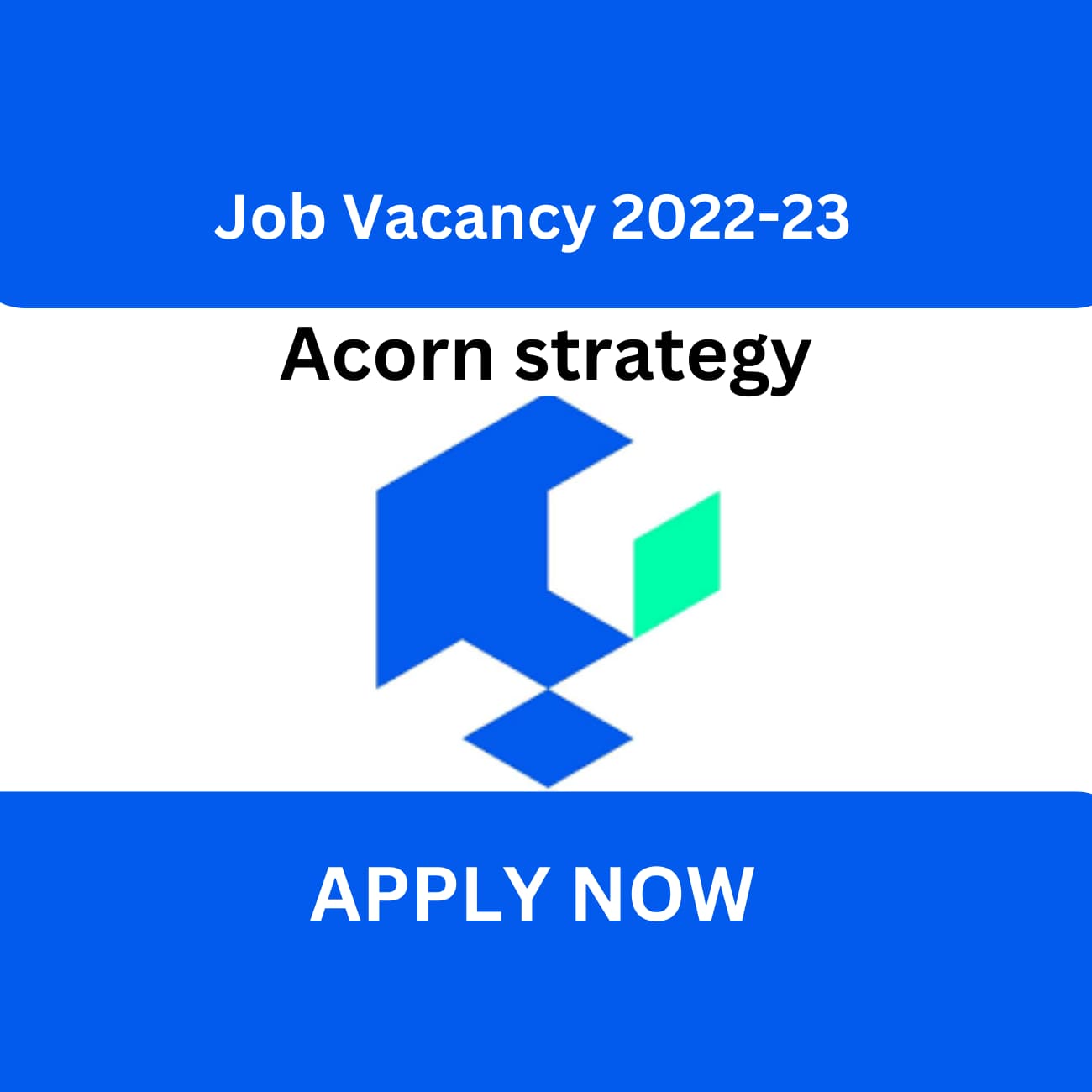 Acorn Strategy Careers Inviting for Acorn Strategy Job Vacancy