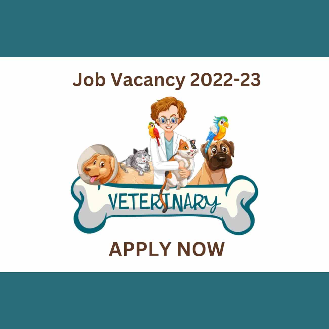 Veterinarian jobs & veterinarian career 2022-23: veterinary jobs for freshers