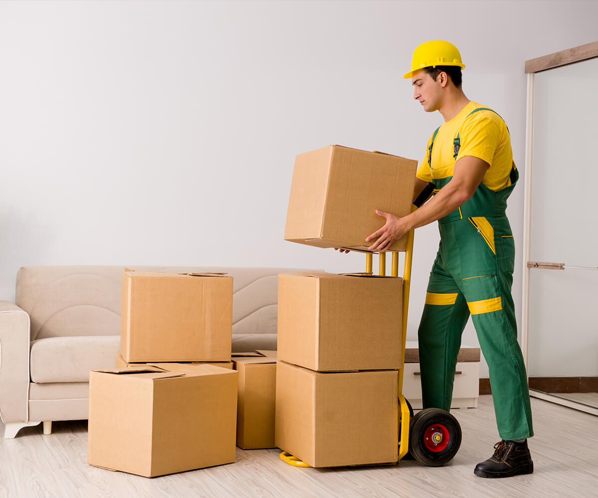 EC CARGO JOB VACANCIES | APPLY NOW EC CARGO JOB VACANCIES | APPLY NOW